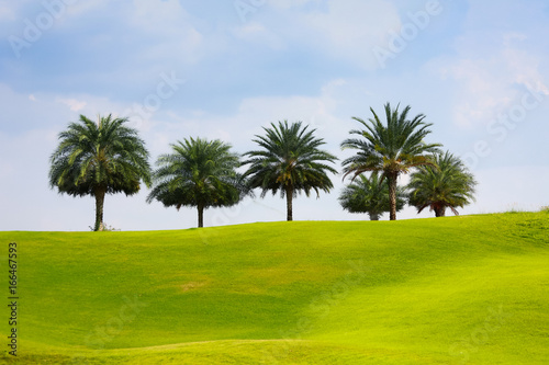 Nice golf place with nice green