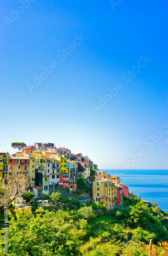 View of the colorful houses along the coastline of Cinque Terre area on a sunny day in Corniglia, Italy.