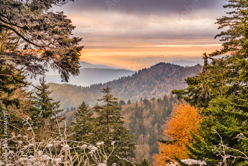 Park Narodowy Smoky Mountains