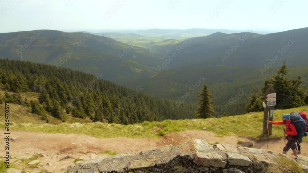 Hiking couple: two hikers (man and woman) walking together on the trail with backpacks, european woodlands, czechia Hiking couple: two hikers (man and woman) walking together on the trail with backpacks, european woodlands, czechia