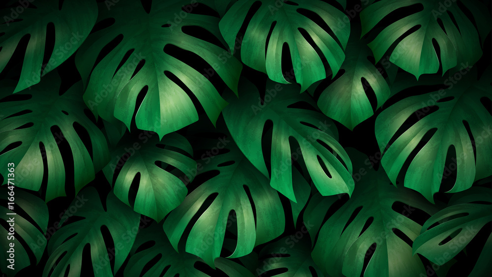 Feuilles tropicales vectorielles 1