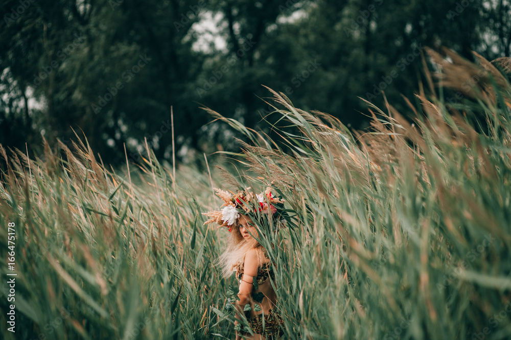 Beautiful little girl in image of nymph goes among cane. Beautiful little girl in image of nymph goes among cane.