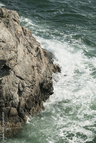 Cliff on Narragansett Bay