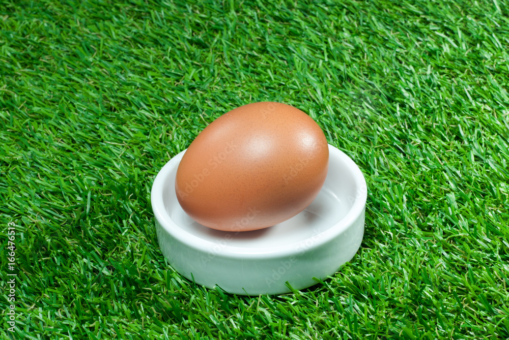 Eggs in white tray with lawn floor Eggs in white tray with lawn floor