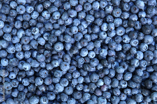 Fresh Blueberries background