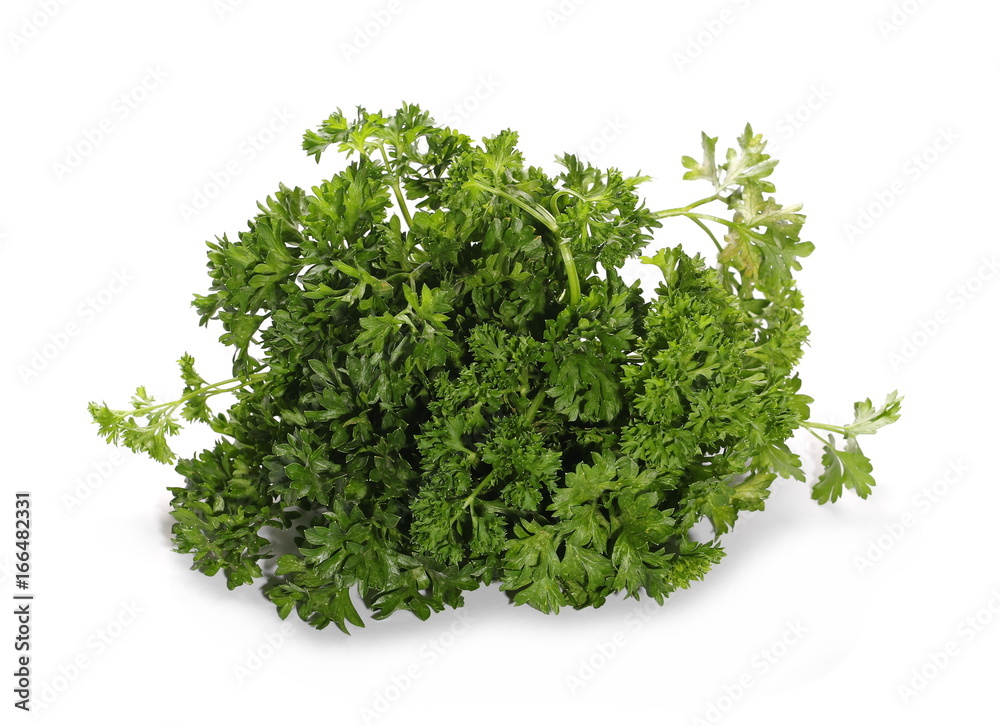 Parsley isolated on white background Parsley isolated on white background