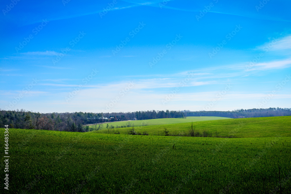 Summer farmland