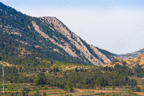 View of the forest and mountains in the province Catalunya, Spain. Copy space for text. © ggfoto