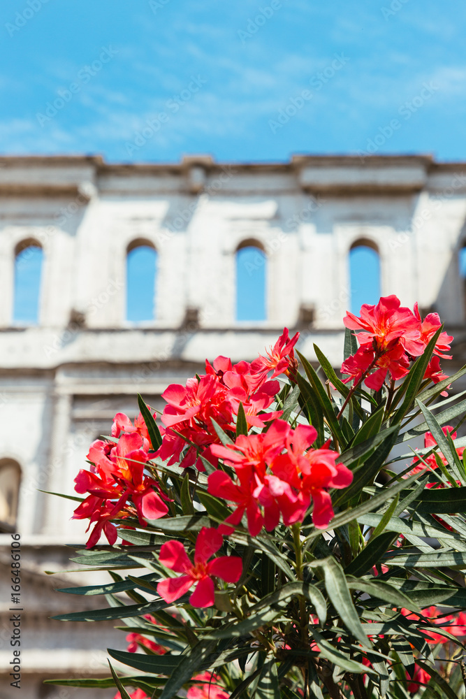 Flowers with ancient architecture