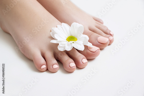 Perfect beige pedicure on white background. Female feet with pastel gel polish top view with free space. Result of spa salon procedure