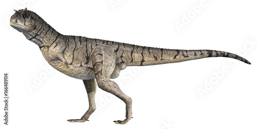 A 3D rendering of Carnotaurus sastrei standing tall  isolated on a white background.