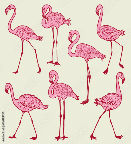 A flock of the pink cartoon flamingos