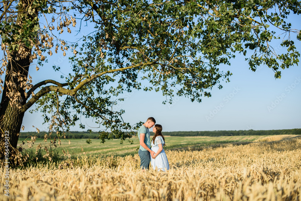 Romantic kissing Pregnant couple in a wheat field. Pregnant woman with her husband holding big belly with baby inside in nature on a beautiful sunny day Romantic kissing Pregnant couple in a wheat field. Pregnant woman with her husband holding big belly with baby inside in nature on a beautiful sunny day