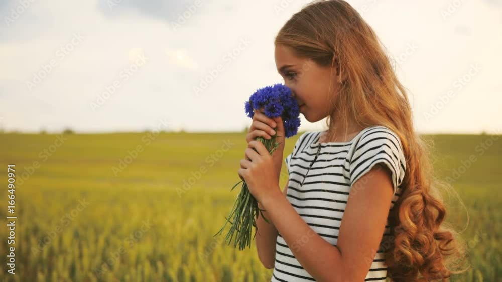 Side portrait of attractive little girl stending in the golden field with beatiful bouquet of cornflowers and sniffing it. Side portrait of attractive little girl stending in the golden field with beatiful bouquet of cornflowers and sniffing it.