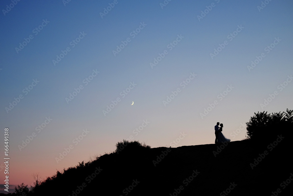 Romantic scene. Couple of lovers embracing under the Moon.