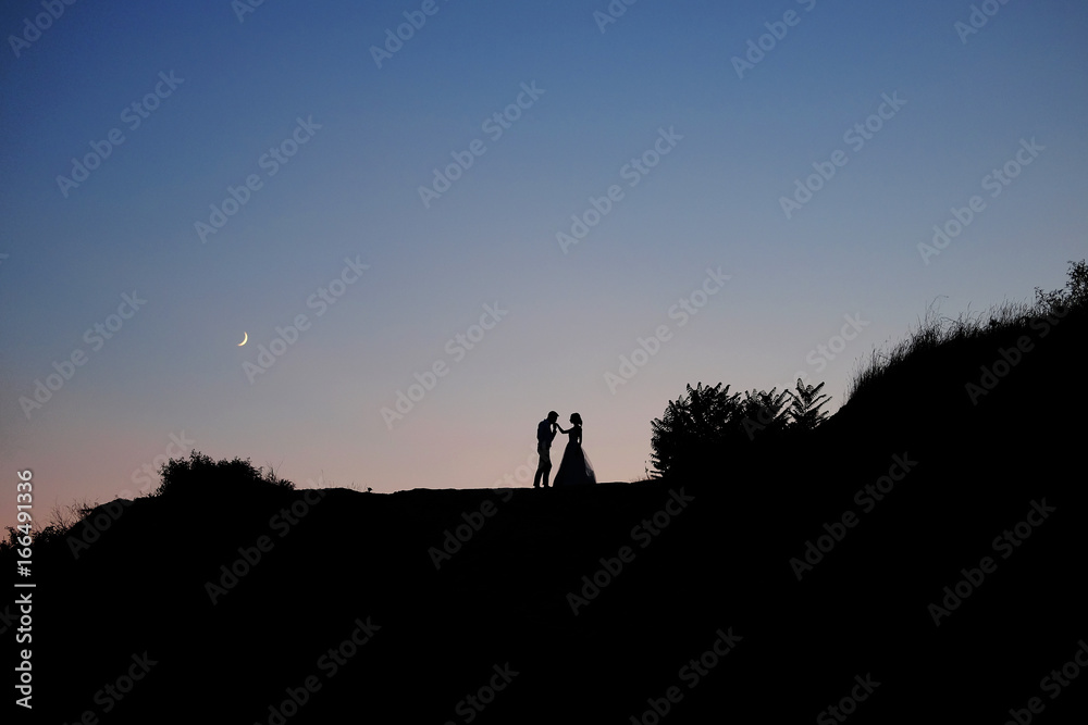 Romantic scene. Couple of lovers embracing under the Moon. Romantic scene. Couple of lovers embracing under the Moon.