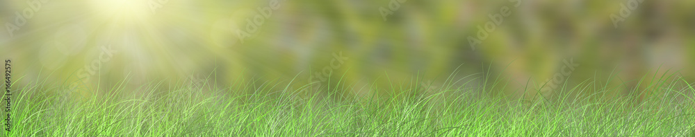 Green background with Grass e Sunlight