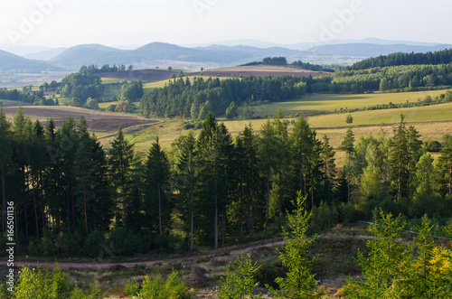 Hills and forest