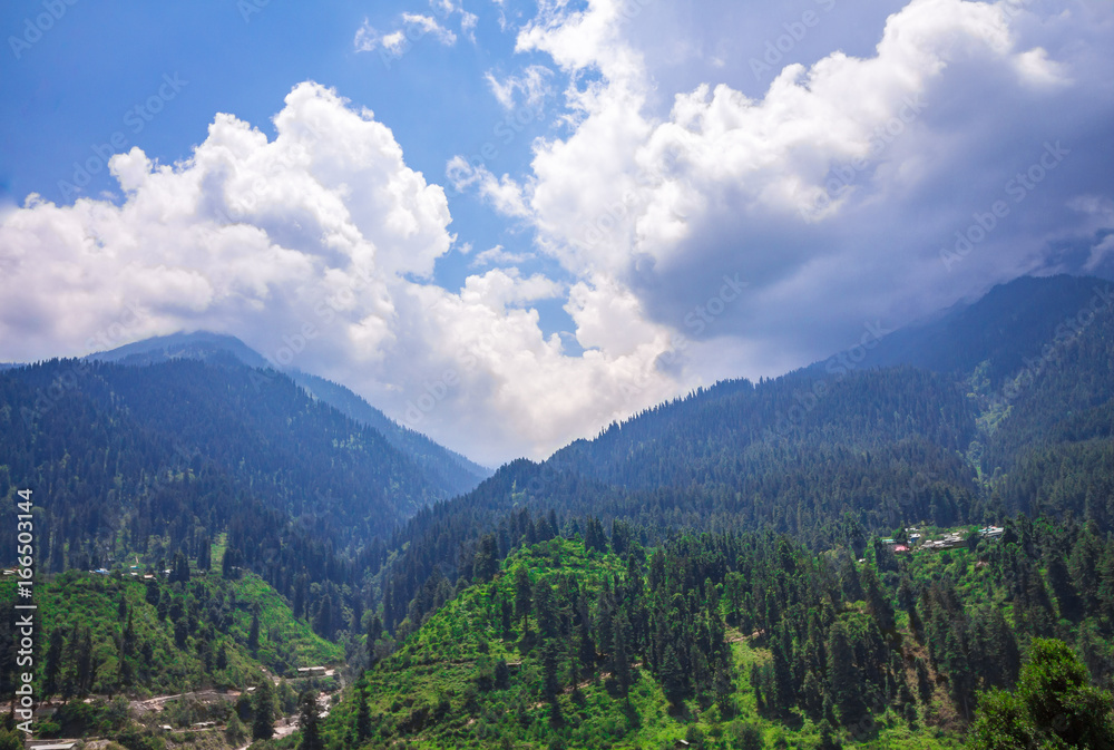 Lush green fields of nature in the mountains of Kheerganga, Himachal Pradesh.