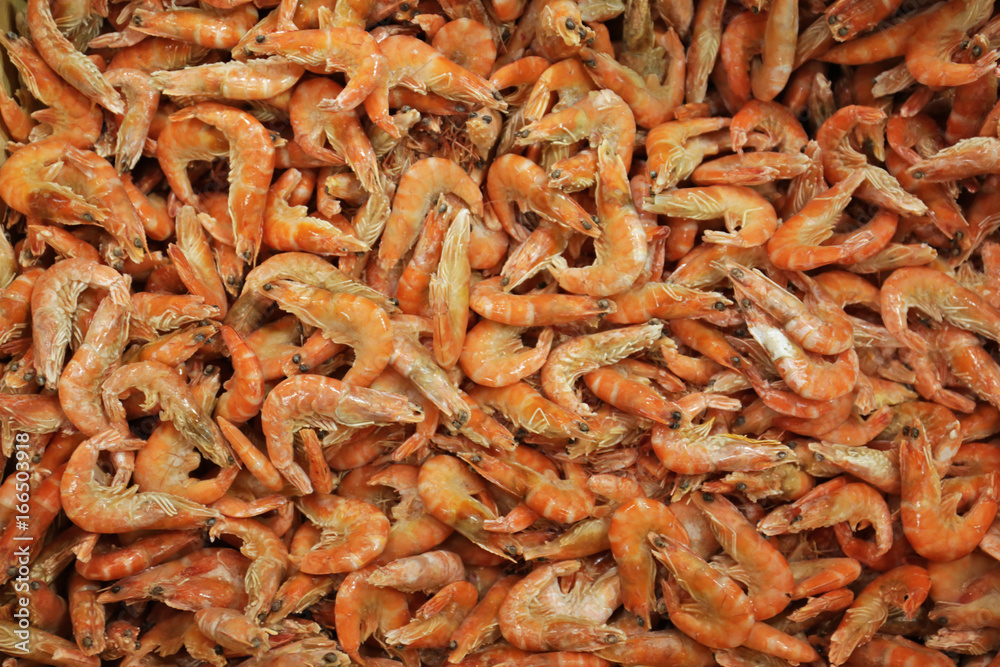 Fresh shrimps, close up
