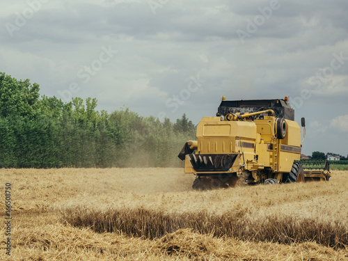 Harvesting