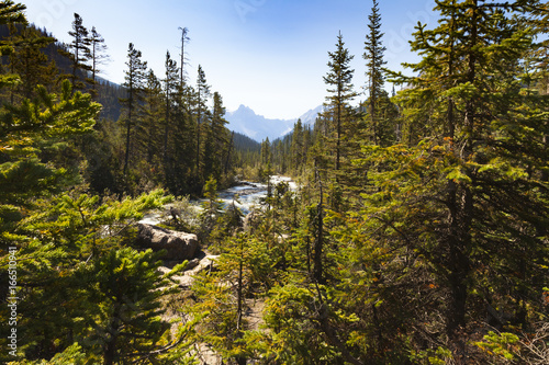 Canada, Yoho River view, Yoho National Park, British Columbia