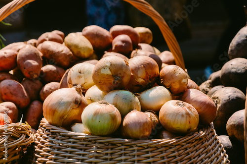 Basket with real vegetables and herbs. Cabbage, tomatoes, carrots, onions after harvesting photo