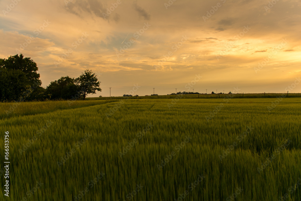 sunset over the field sunset over the field