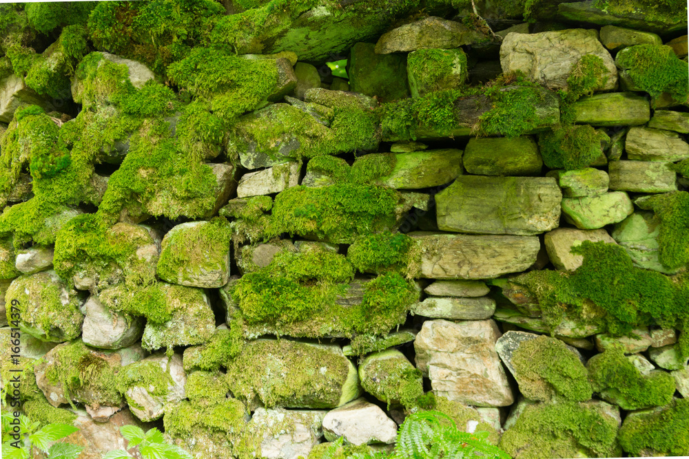 Steinmauer in Schottland