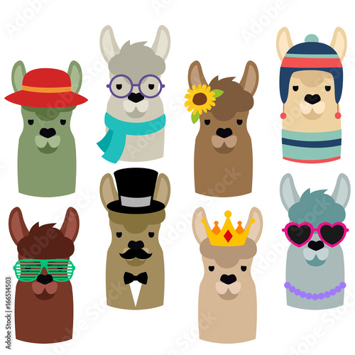 Llama Heads