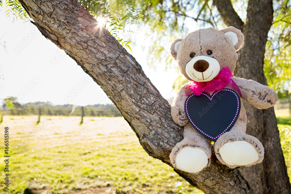 Φωτογραφία Teddy Bear announcement card with pink ribbon and blank blackboard heart sitting