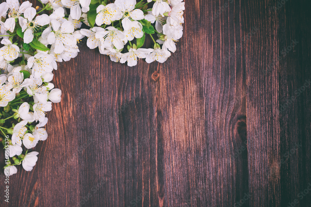 Blooming cherry branch with white flowers Blooming cherry branch with white flowers