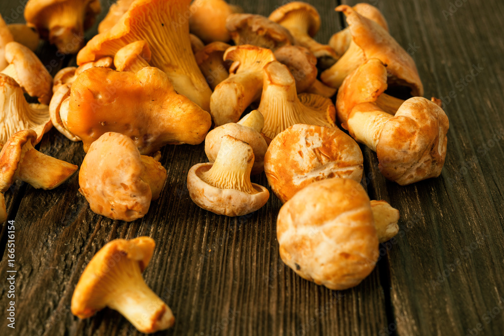 Raw wild mushrooms chanterelle on rustic wooden table Raw wild mushrooms chanterelle on rustic wooden table