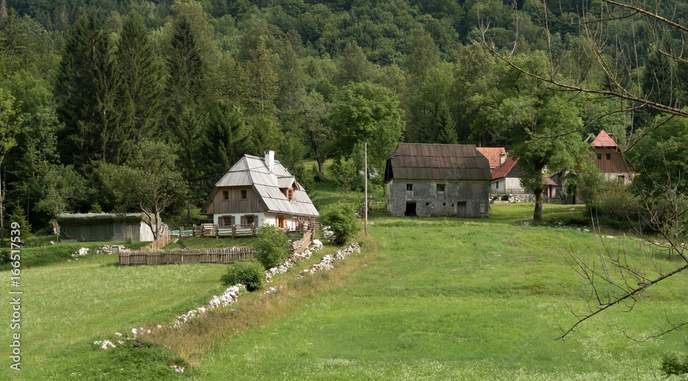old houses in the Bavsica valley in Triglav national park in Julian Alps in Slovenia