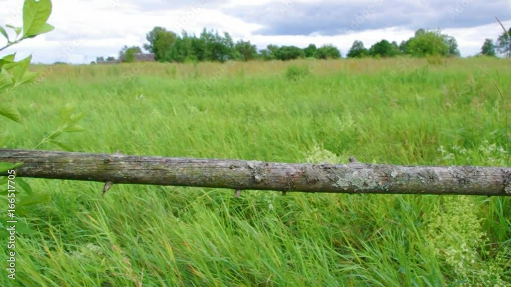 belorussian landscape blue cloudy sky and green field belorussian landscape blue cloudy sky and green field