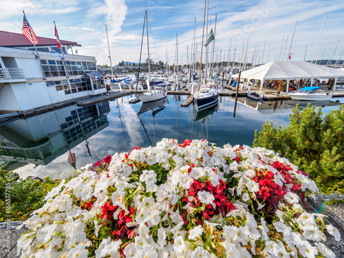 Red and white flowers decorate the seaside walk in Sidney, Vancouver Island, British Columbia to celebrate Canada 150 anniversary © pr2is