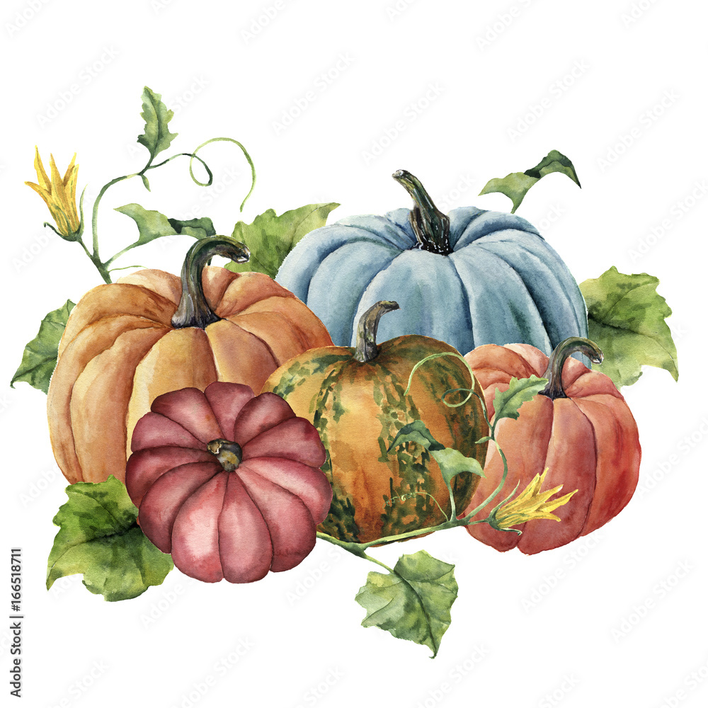 Watercolor autumn harvest. Hand painted bright pumpkins with leaves and ...