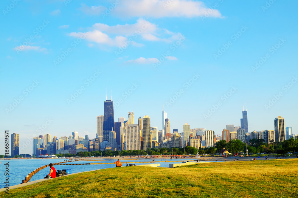 Fototapeta premium chicago night scape