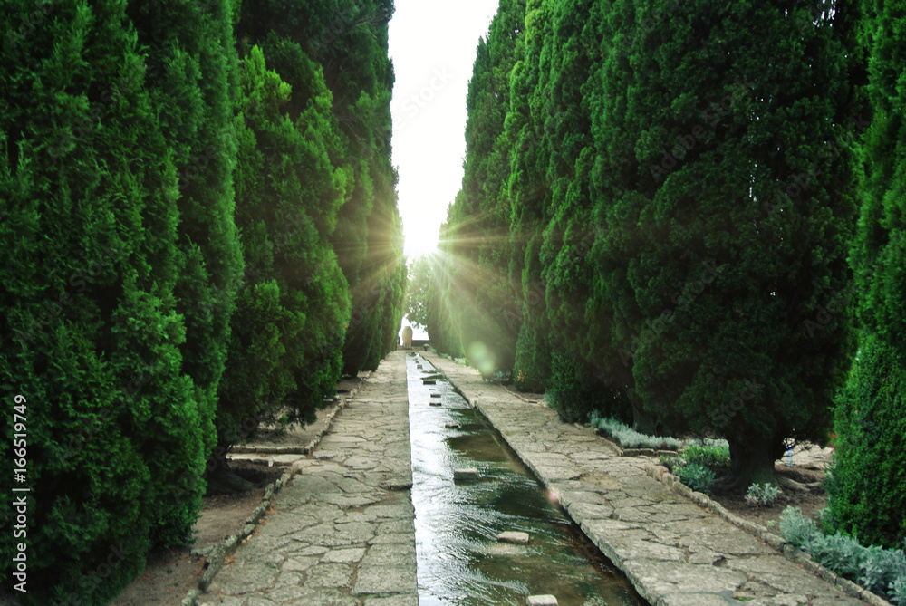 The coast of Bulgaria. Parks, the embankment.