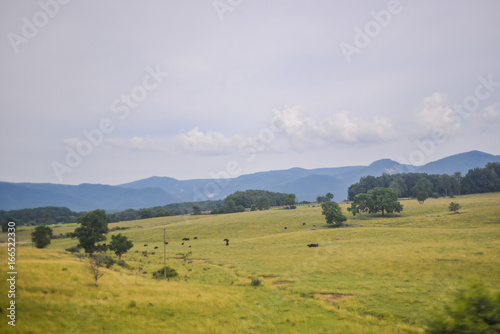 Green Midwest Grass Field With Mountains In the Background With Foggy Sky And Clouds