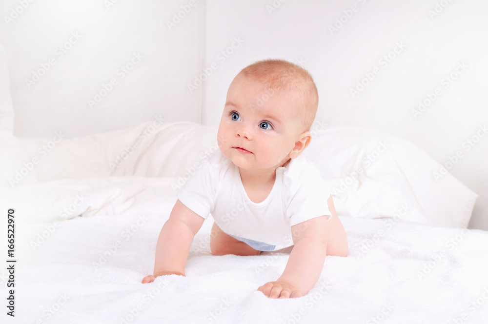 Closeup portrait of adorable newborn