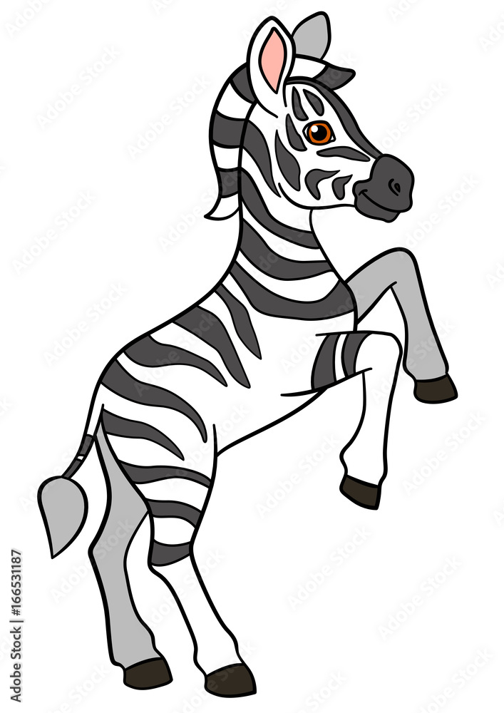 Cartoon animals. Little cute baby zebra smiles. Cartoon animals. Little cute baby zebra smiles.