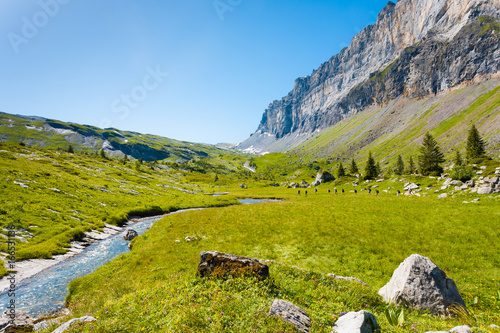 Sixt Fer A Cheval Alps France National Park H