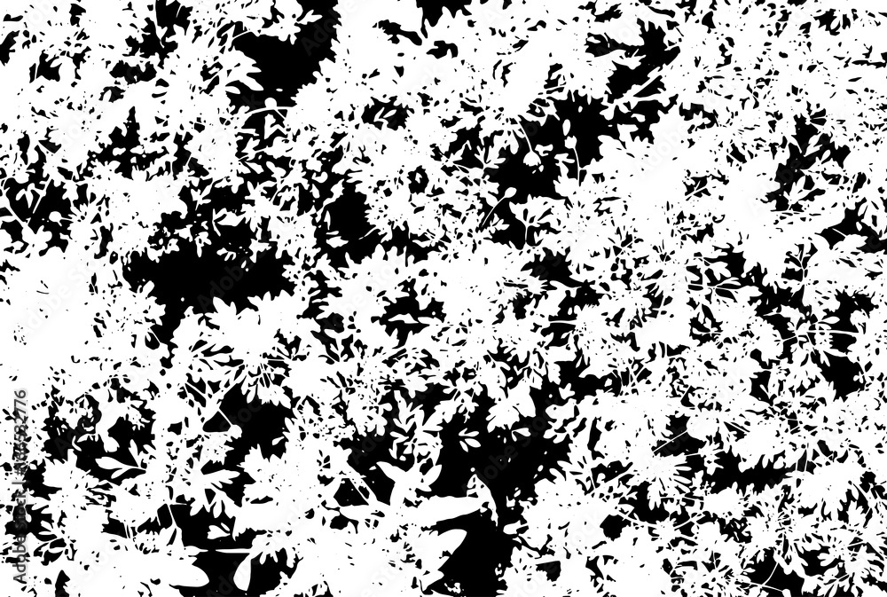 Black and white grunge texture. Marbling illustration. Abstract background. Vector pattern.