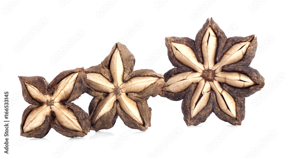 Sacha inchi peanut seed isolate on white background Sacha inchi peanut seed isolate on white background