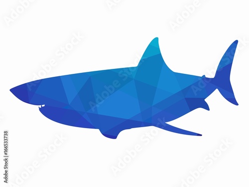 illustration of shark, vector draw