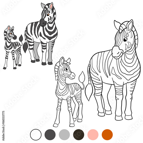 Color me: zebra. Mother zebra with her cute baby.