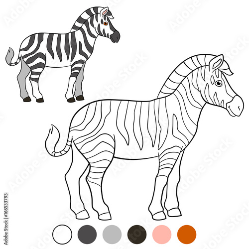 Color me: zebra. Cute beautiful zebra smiles.