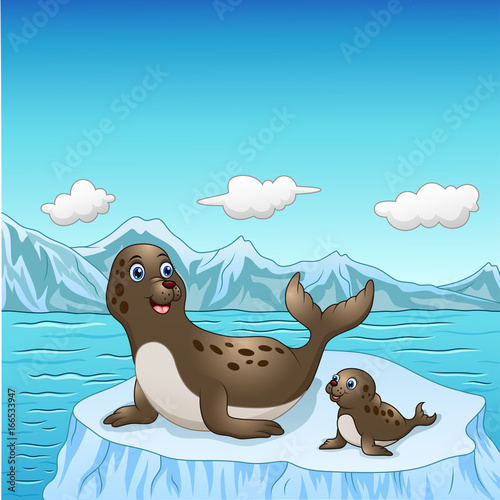 Seal family cartoon on ice floes