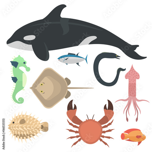 Vector sea animals creatures characters cartoon ocean underwater aquarium life water graphic aquatic tropical beasts illustration